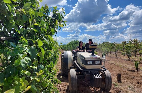 Extremadura concederá préstamos garantizados de hasta 600.000 euros para jóvenes agricultores 
