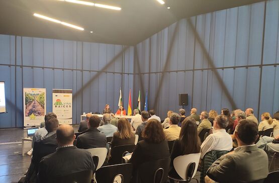 Extremadura impulsa la innovación en viticultura sostenible con los primeros resultados del proyecto “Viña-Raíces”