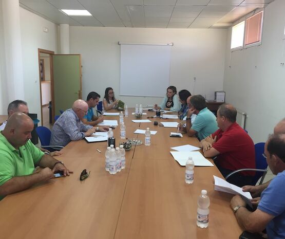 Mejorar la trazabilidad del tabaco, entre las medidas de apoyo al sector que estudia la Junta