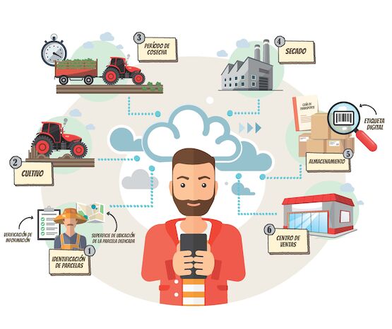 Ibertabaco participa en la puesta en marcha de la primera aplicación para trazar la hoja de tabaco extremeña