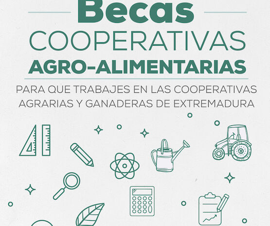 Publicadas las bases de las Becas Cooperativas Agro-alimentarias para facilitar la incorporación laboral de jóvenes