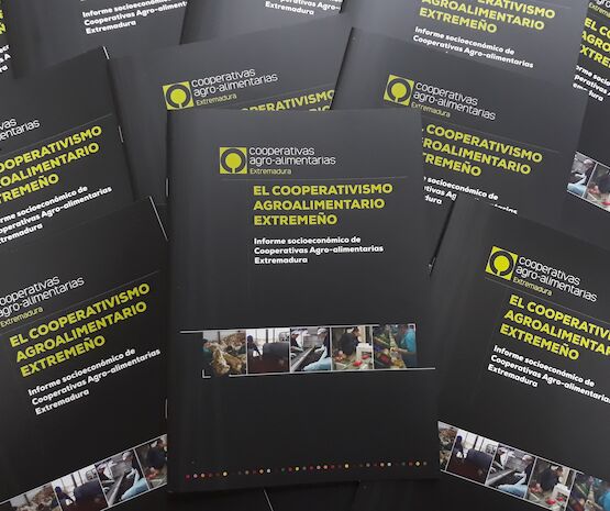 Publicado el ‘Informe Socioeconómico sobre el Cooperativismo Agroalimentario de Extremadura’