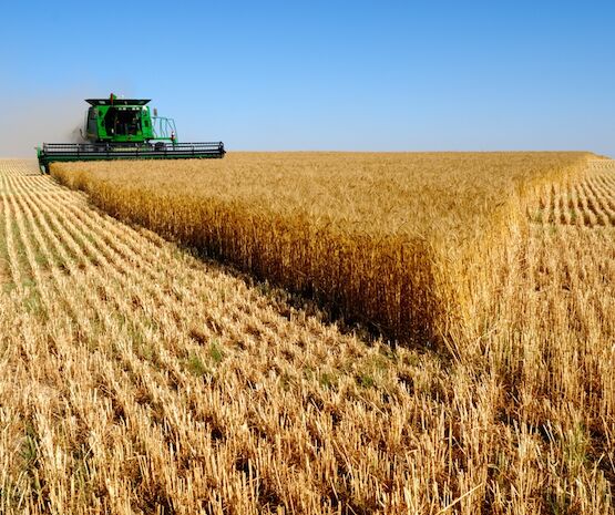 Ampliado al 15 de junio el plazo de presentación de la solicitud única de ayudas de la PAC 