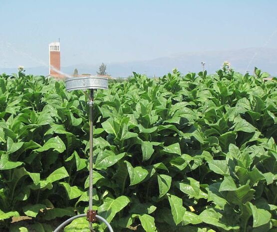 4 millones para implantar sistemas de riego de uso eficiente de agua y energía