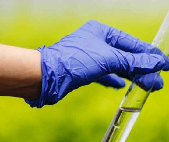 Las cooperativas extremeñas avanzan hacia la certificación alimentaria de la calidad del sector