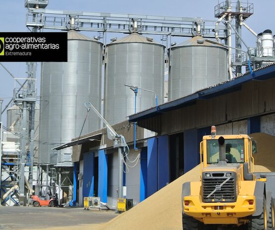 Publicado el decreto que regula las entidades agroalimentarias prioritarias de Extremadura y su registro