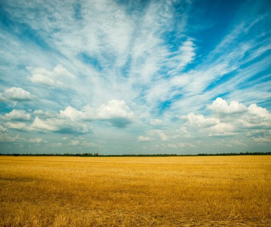España remite a Bruselas el Plan Estratégico para la PAC