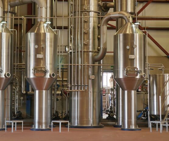 Viñaoliva diversifica la oferta con mostos concentrados al contar con el único concentrador de Extremadura