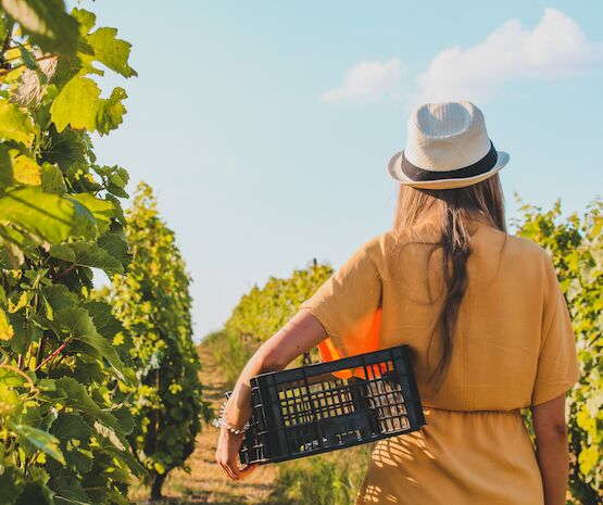 Extremadura, un tren en marcha hacia la igualdad
