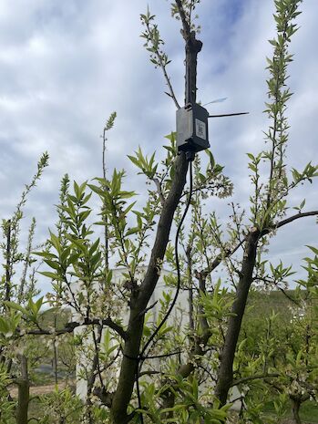 Iniciación a la digitalización con tecnología LoRaWAN de bajo coste