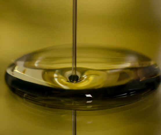 Publicada la norma de comercialización del aceite de oliva para la campaña 2025-2026