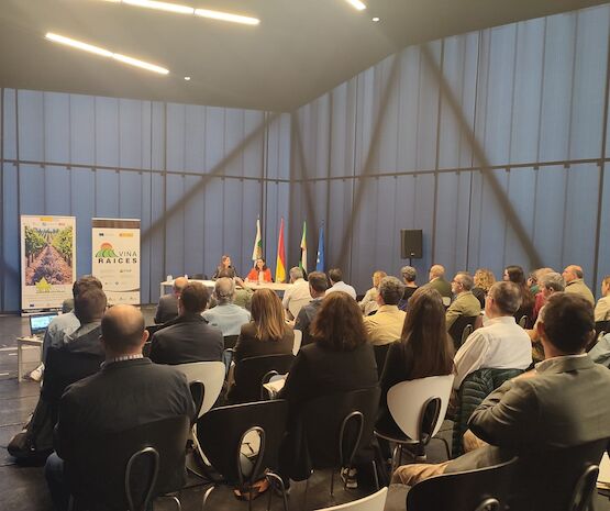 Extremadura impulsa la innovación en viticultura sostenible con los primeros resultados del proyecto “Viña-Raíces”