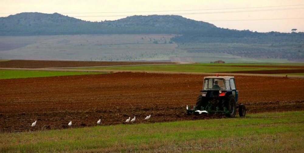 Aprobadas nuevas flexibilidades en la aplicación de la Política Agraria Común