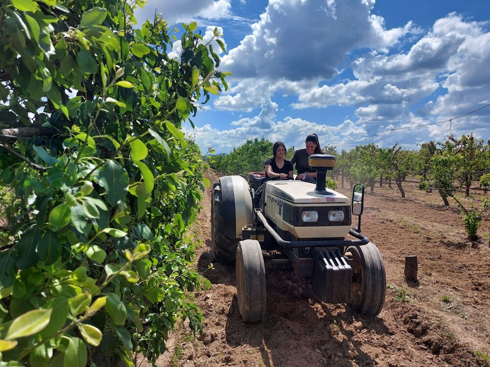 Extremadura concederá préstamos garantizados de hasta 600.000 euros para jóvenes agricultores 