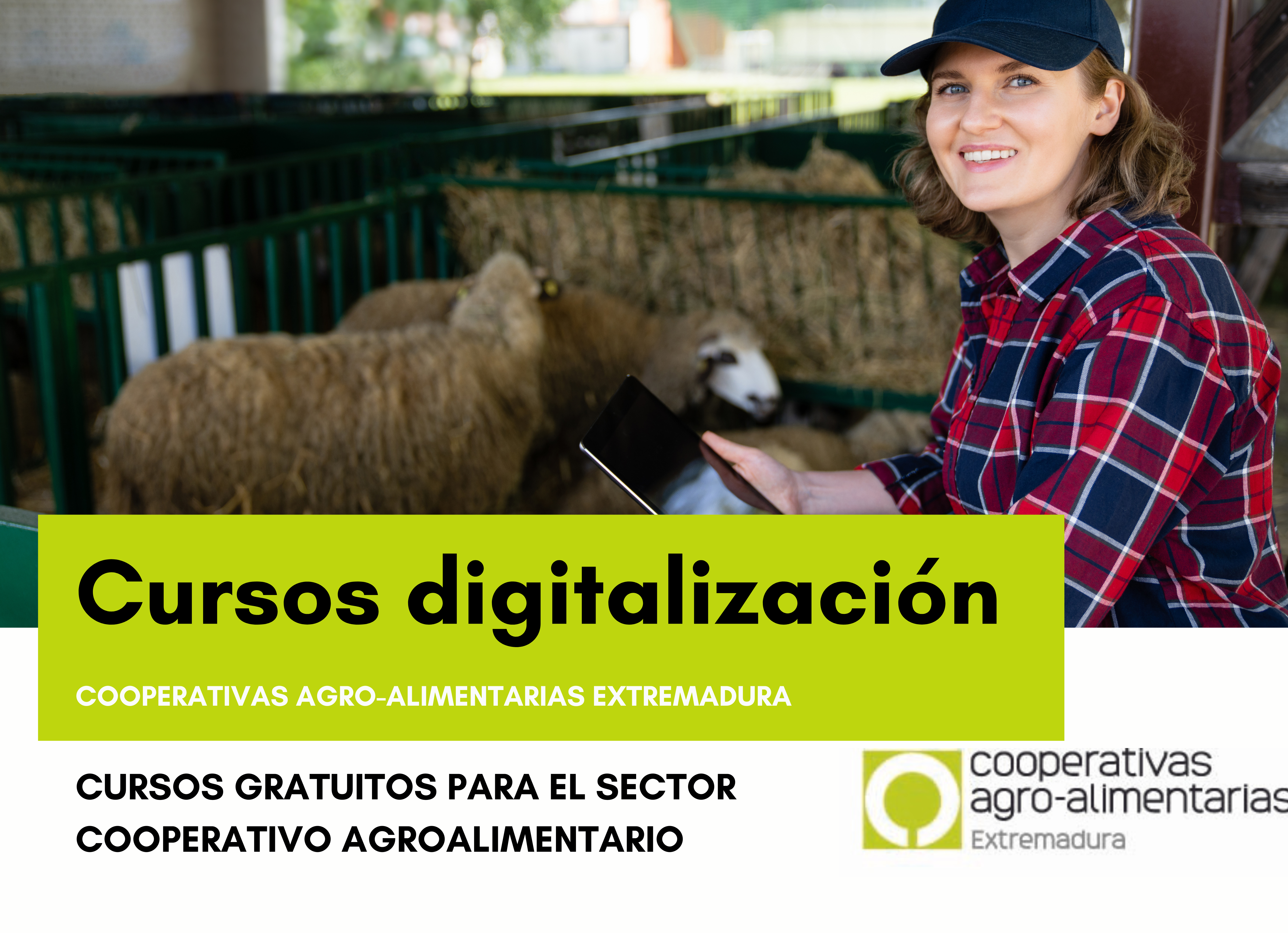 cursos digitalización