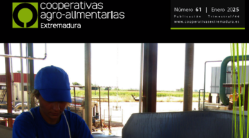 Revista n 61  Enero 2025