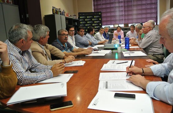 Cooperativas elige a sus presidentes sectoriales de aceite de oliva y aceituna de mesa