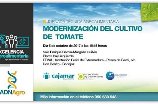 Cooperativas Extremadura aborda la modernización del cultivo del tomate en unas jornadas