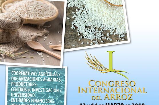 Expertos mundiales del sector se darán cita un Congreso Internacional de Arroz en Don Benito