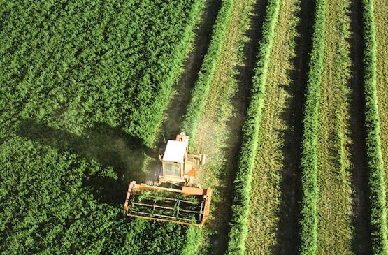Agricultura empieza a pagar más de 106 de la PAC en Extremadura