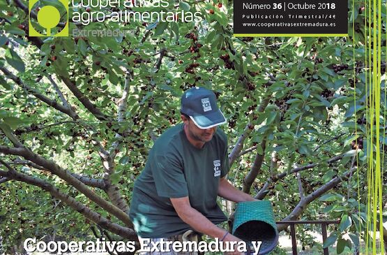 Disponible el último número de la revista Cooperativas Agro-alimentarias Extremadura