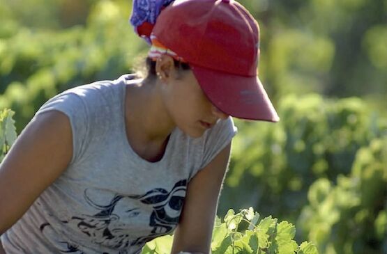 Mujeres Cooperativistas de Extremadura