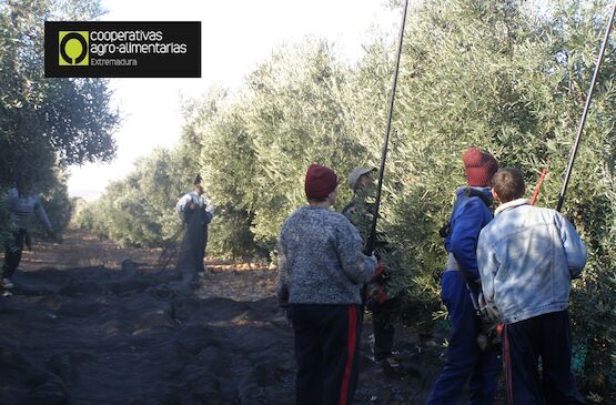 EEUU y UE suspenden de forma temporal los aranceles