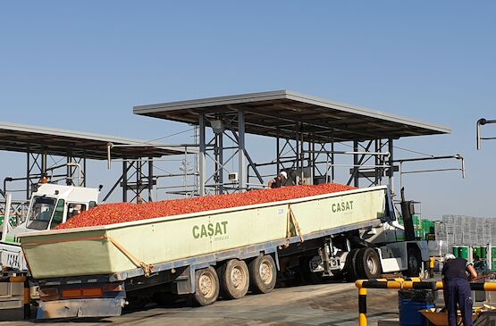 El DOE publica las ayudas para apoyar procesos de reestructuración del sector cooperativo agroalimentario en Extremadura