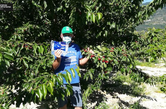 Cooperativas Extremadura coordina la compra conjunta de mascarillas entre sus cooperativas socias