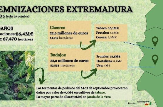 Agroseguro abona 18,2 millones de euros en indemnizaciones por siniestros producidos en Extremadura