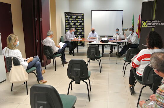 Cooperativas Agro-alimentarias Extremadura elige a los presidentes de sus sectoriales agroganaderas