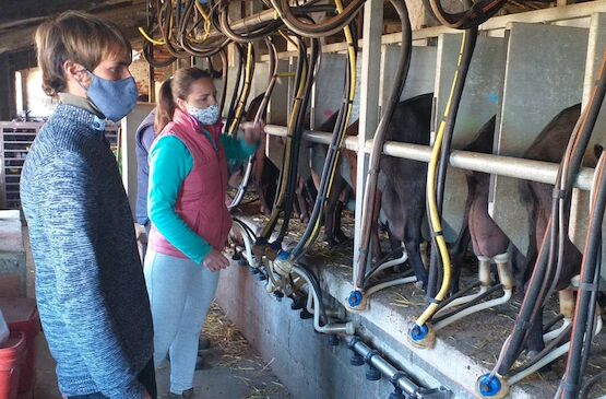 Cooperativas Extremadura pone en marcha el intercambio de experiencias y formación entre jóvenes del sector agrario