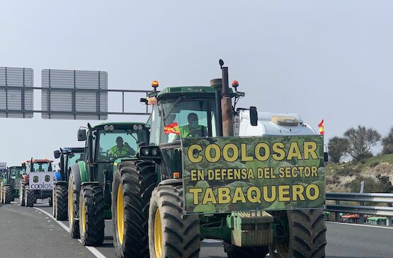 Se posponen las movilizaciones de tabaco a la espera de una reunión con el ministro de Agricultura