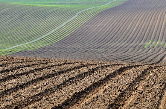 Cooperativas Extremadura muestra su satisfacción por la inclusión de La Vera como región productora en el Plan Estratégico Nacional de la PAC