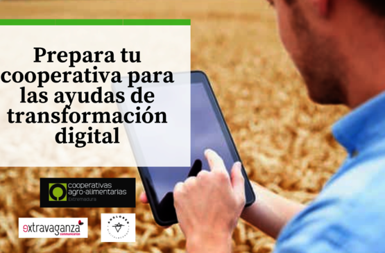 Cooperativas Extremadura promueve la digitalización de las cooperativas de la región