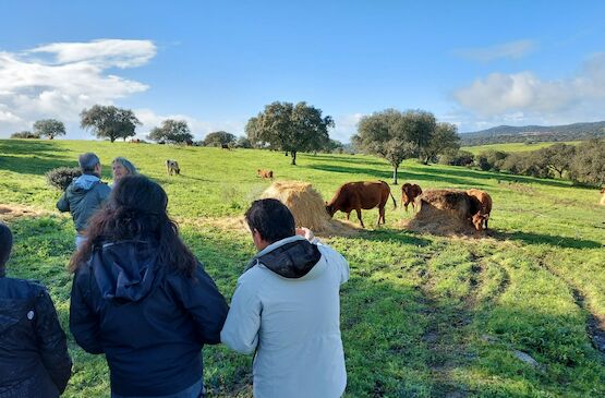 Arranca el proyecto PASTURE+: Productos ganaderos que restauran el capital natural, mitigan el cambio climático y promueven el desarrollo rural.