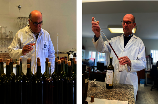 Viñaoliva destaca la labor de sus enólogos como artífices de los numerosos premios obtenidos en VinEspaña 2024