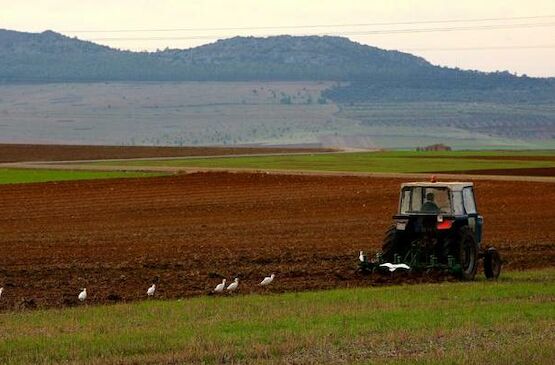 Aprobadas nuevas flexibilidades en la aplicación de la Política Agraria Común