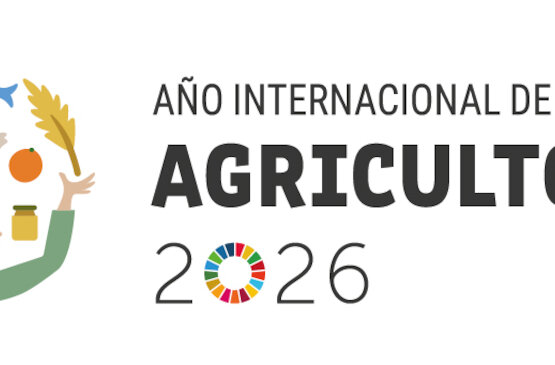2026 es el Año Internacional de la Agricultora