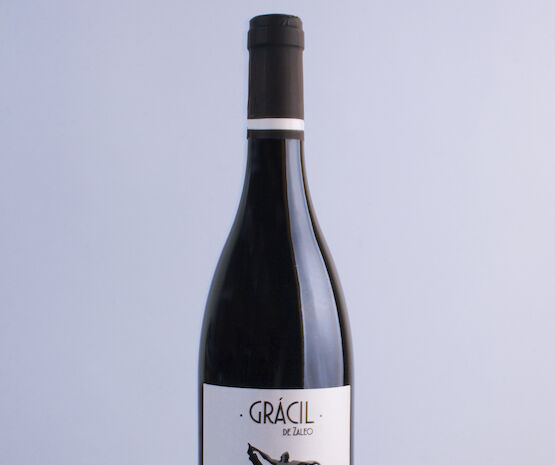 Viñaoliva presenta su nuevo vino Grácil de Zaleo