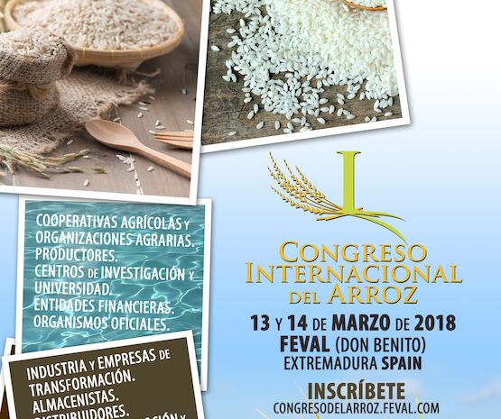 Expertos mundiales del sector se darán cita un Congreso Internacional de Arroz en Don Benito