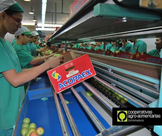 Cooperativas Agro-alimentarias sigue dando pasos en Igualdad