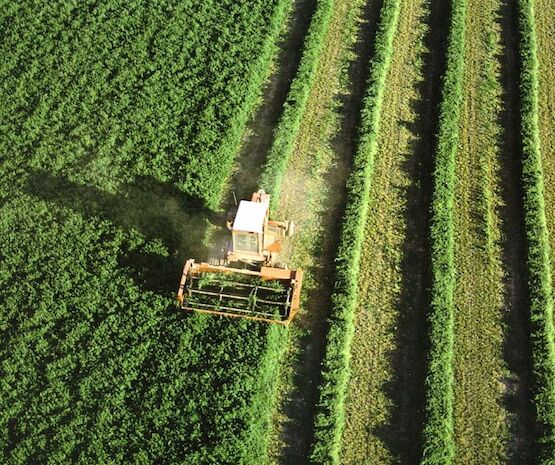  Agricultura empieza a pagar más de 106 de la PAC en Extremadura