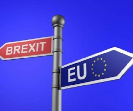 Cooperativas Agro-alimentarias pide planes de contingencia para el sector agroalimentario por el Brexit