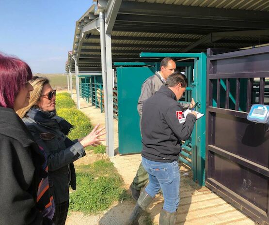 García Bernal destaca el papel de Bovies para impulsar la ganadería en Extremadura