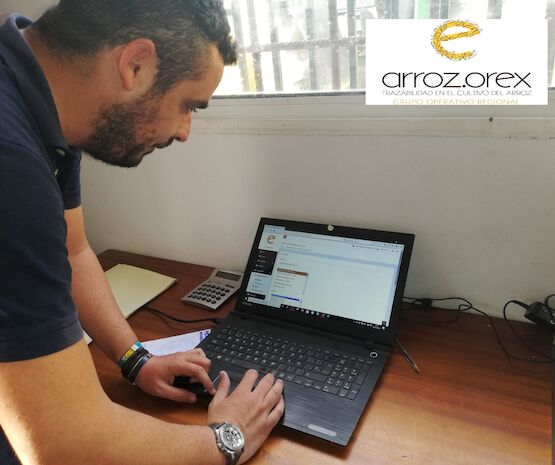 ArrozOrEx presenta sus resultados finales en la creación de una app para el cultivo de arroz