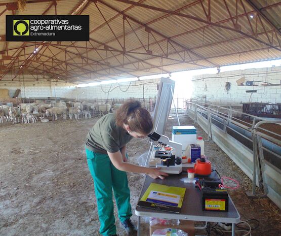 Una oportunidad para jóvenes y mujeres rurales: las cooperativas agroalimentarias