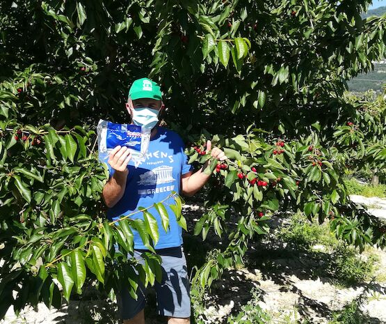 Cooperativas Extremadura coordina la compra conjunta de mascarillas entre sus cooperativas socias