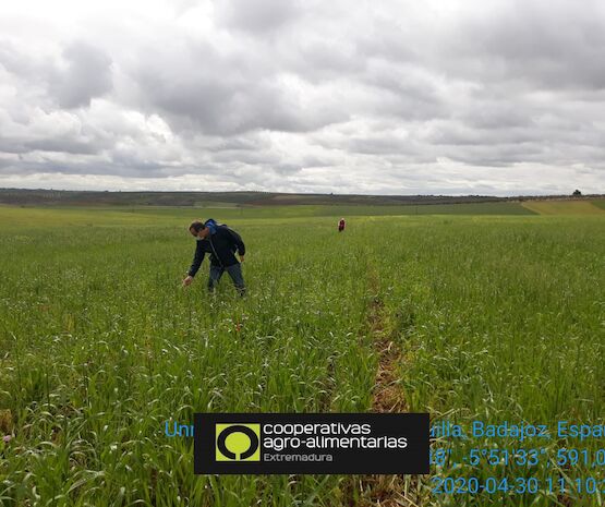 La inestabilidad meteorológica define el año agrario 2020