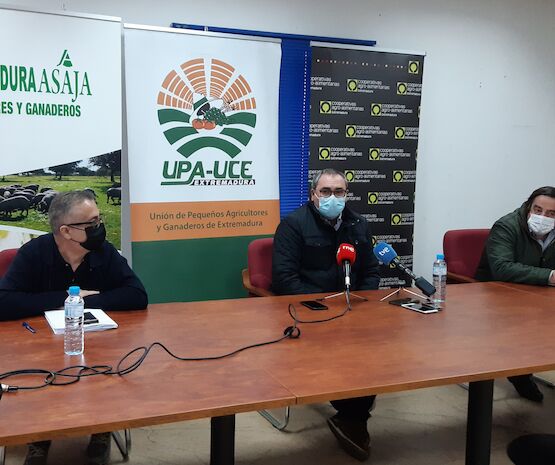 Aplazadas las movilizaciones del sector del tabaco por la situación epidemiológica